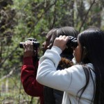 menghadapi-pubertas-anak