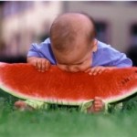 bayi-makan-semangka-raksasa-300x248