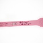 mempersiapkan kehamilan