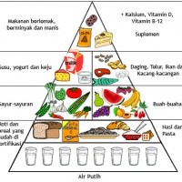 piramida makanan