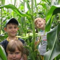 Langkah-Awal-dalam-Pendidikan-Karakter-Anak