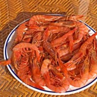 Udang