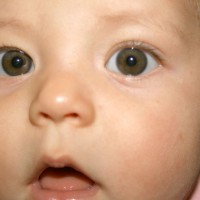 manfaat-vitamin-A-untuk-mata