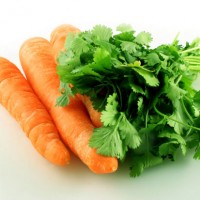 nutrisi-bagi-tumbuh-kembang-bayi