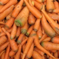 Wortel-Baik-untuk-Mata