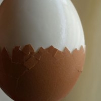 makanan-sehat-untuk-anak-penderita-kanker