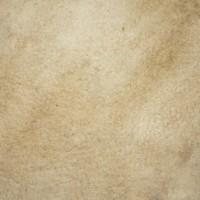 tips-nutrisi-untuk-kulit-kering