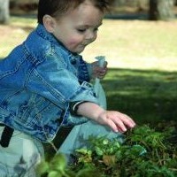 anak sakit perut dan badan panas