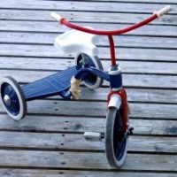 Manfaat-Mainan-Sepeda-Roda-Tiga-Bagi-Anak-Usia-2-tahun