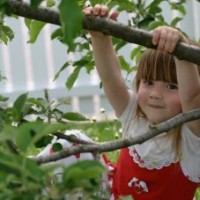 apakah-komunikasi-asertif