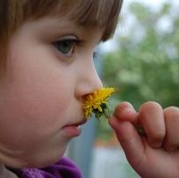 Penyebab Obesitas Pada Balita