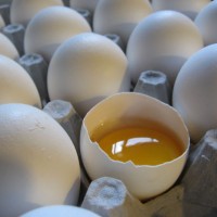 alergi-telur-pada-anak