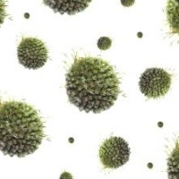 mengenal rotavirus penyebab diare pada anak