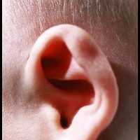 Tips Membersihkan Telinga Anak