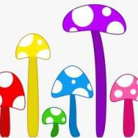 nasi-jamur-untuk-bayi-9-12-bulan