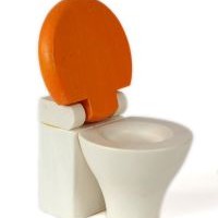 sukes mengajarkan toilet training