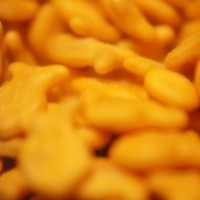 bahaya zat aditif pada makanan anak